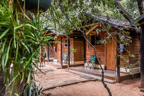 Mokolodi Backpackers image